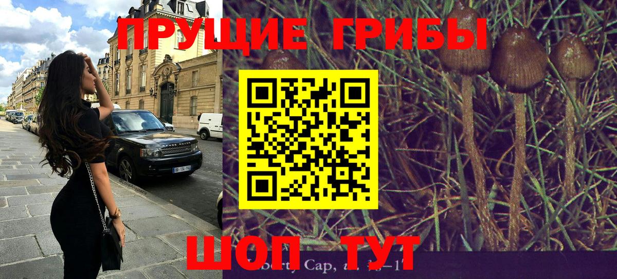 Псилоцибиновые грибы MAGIC MUSHROOMS Ейск
