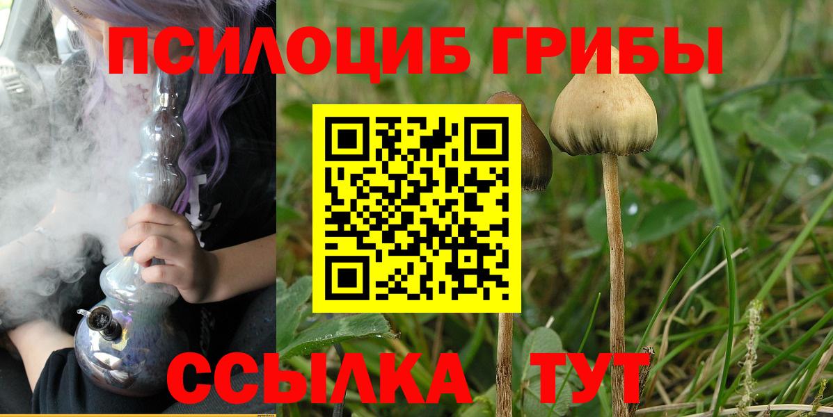 Ейск  Псилоцибиновые грибы мухоморы  Галлюциногенные грибы Psilocybe  Вход с VPN 